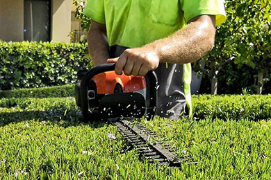 Garden maintenance
