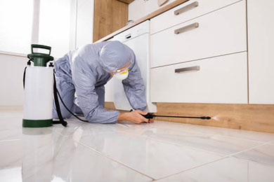Disinfection, insecticide, pest control in Sifnos